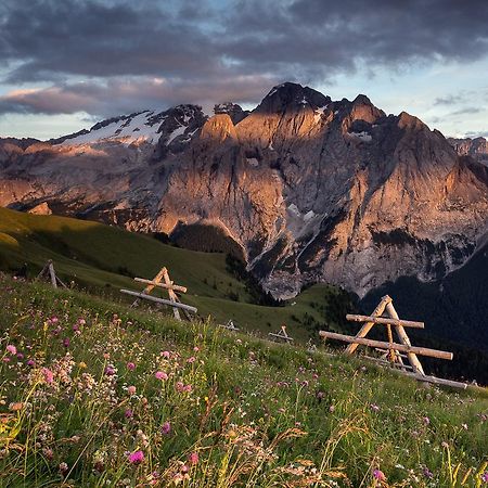 Rifugio Sass Bece Hotel Canazei Eksteriør billede